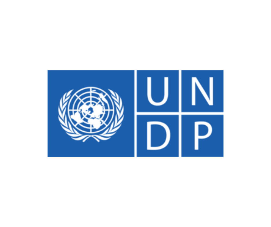 United Nations Development Programme (UNDP) logo