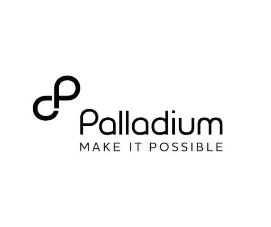 The Palladium Group logo