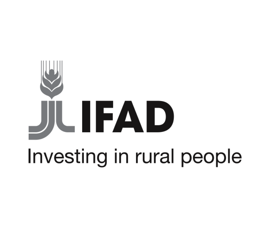 International Fund for Agricultural Development (IFAD) logo