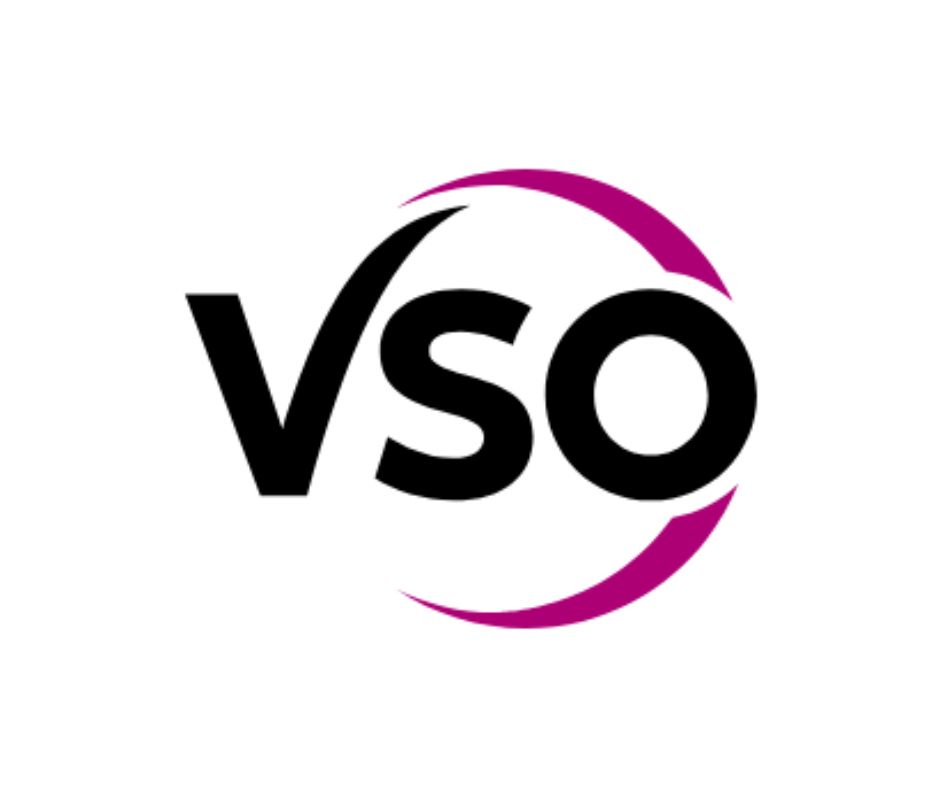 VSO International logo
