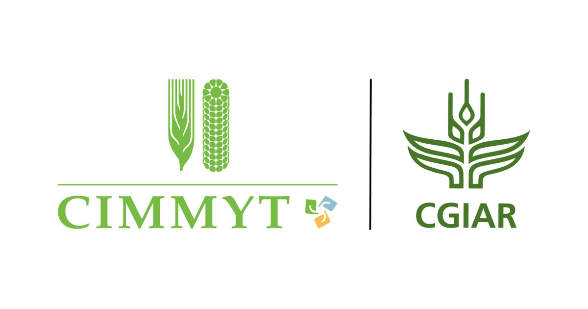 International Maize and Wheat Improvement Center (CIMMYT) logo